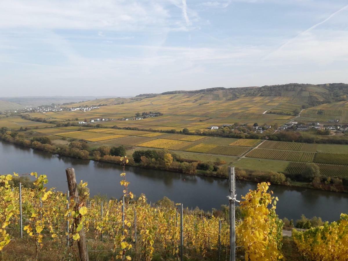 Weingut Johanneshof Minheim Esterno foto