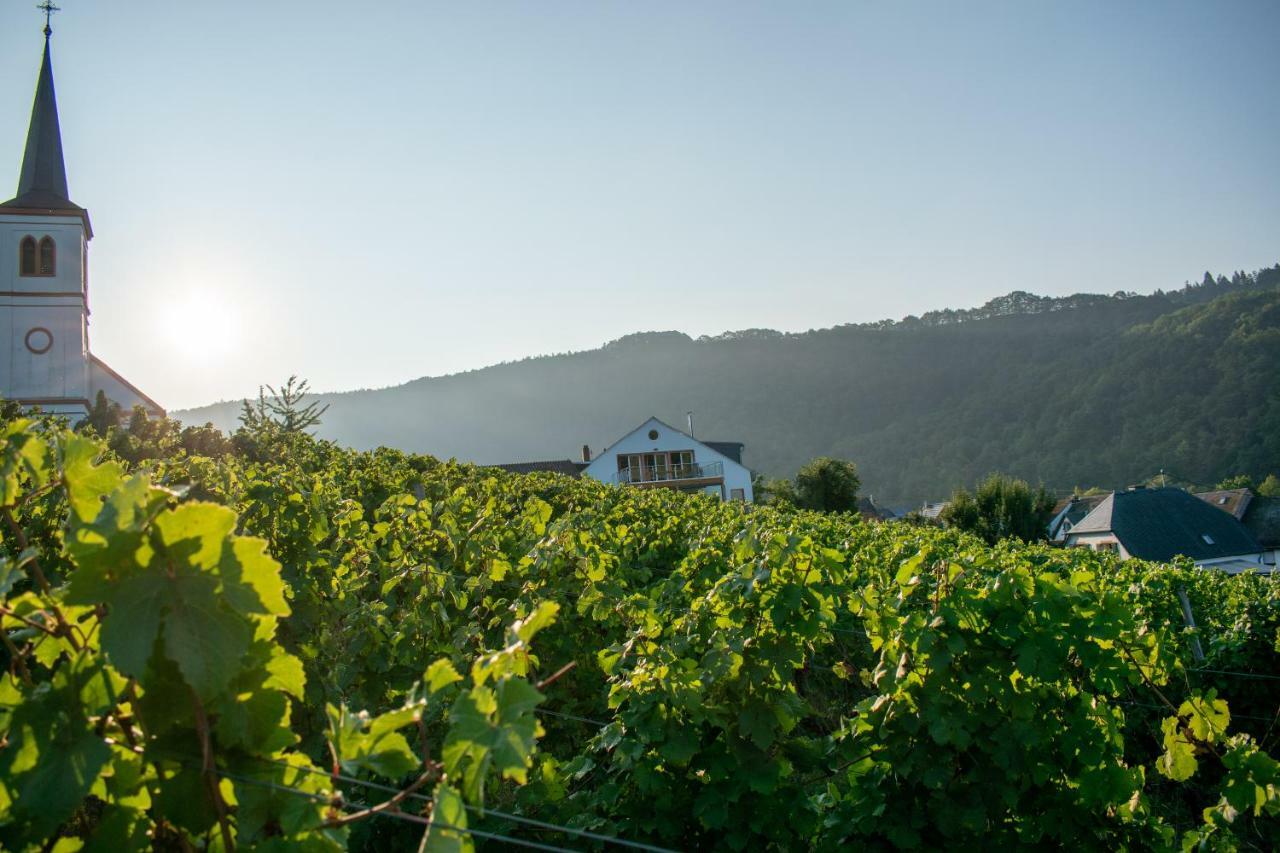 Weingut Johanneshof Minheim Esterno foto