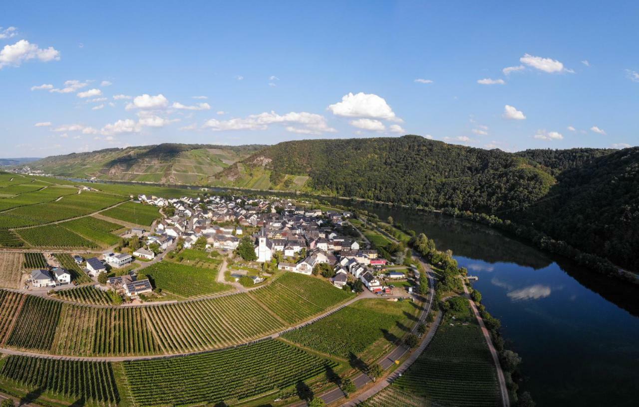 Weingut Johanneshof Minheim Esterno foto